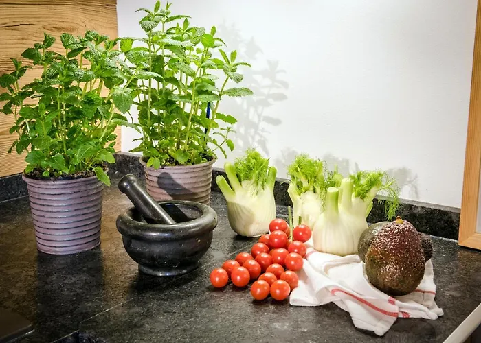 Gut Fasanenhoehe Appartement