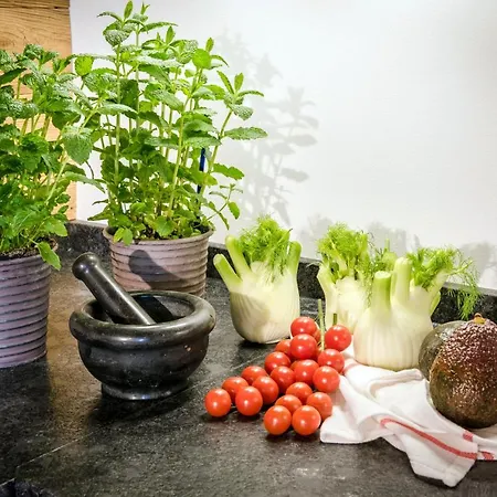 Gut Fasanenhoehe Appartement